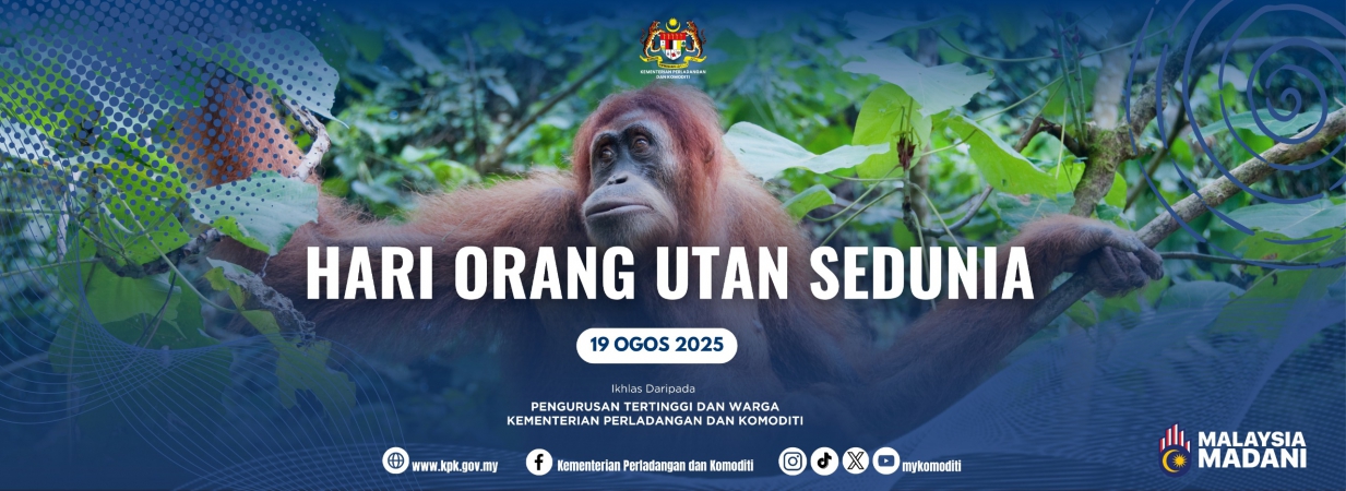 2025_Oran_Utan