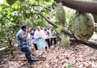 03 JULAI 2022-LAWATAN KE LADANG KOKO TING AGRO ENTERPRISE_1