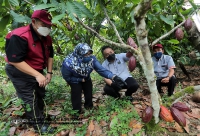 13 APRIL 2022 - YBTM HADIR KE PROGRAM JELAJAH AGRIKOMODITI MAJLIS PERASMIAN PUSAT MINI PEMPROSESAN KOKO DAN JALAN LADANG DI KAMPUNG KETIMBONG, SARAWAK