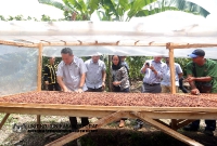 17 APRIL 2022 - LAWATAN YBTM DATUK WILLIE ANAK MONGIN KE KEBUN KOKO DI NAPONG, RANAU_3