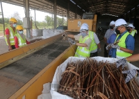 18 OKTOBER 2021 - Lawatan kerja YBTM ke kawasan tanaman kenaf di Pekan, Pahang dan Pusat Industri Kenaf (PIK), Tebu Hitam, Rompin, Pahang_8