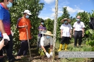 Lawatan Kerja YB Tuan Willie Mongin ke Kebun Lada di Kawasan Puncak Borneo, Kuching, Sarawak_2