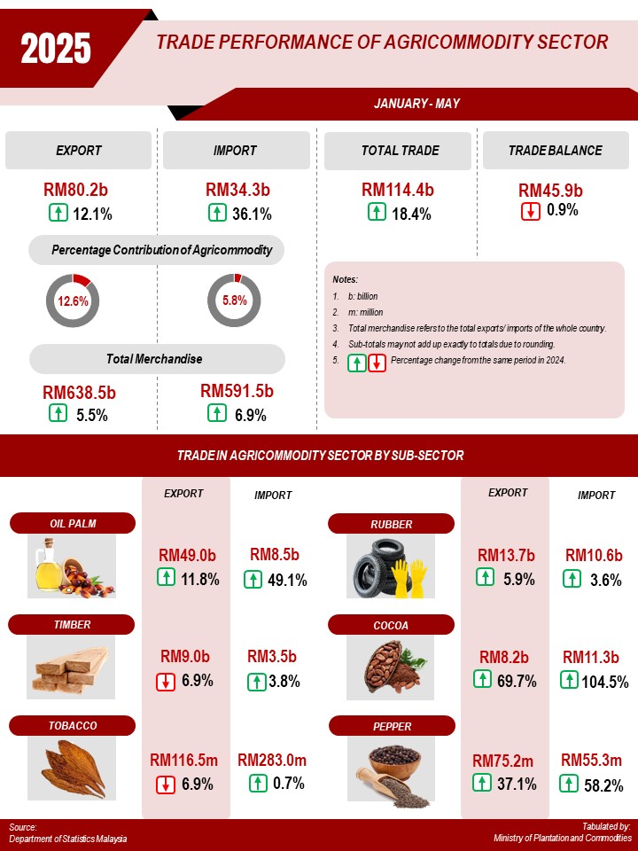 Infographic Jan May 2025 BI